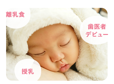 歯が生える前から