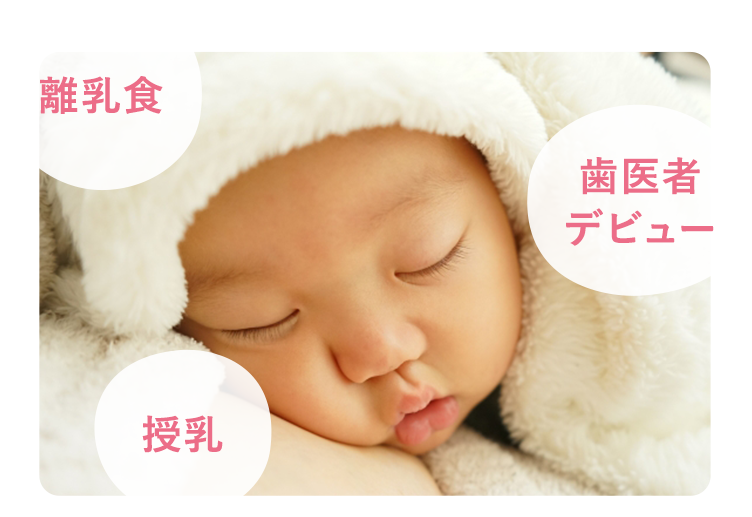 歯が生える前から